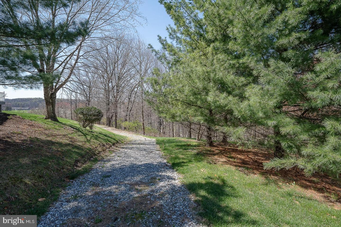206 Kennedy Drive photo 58