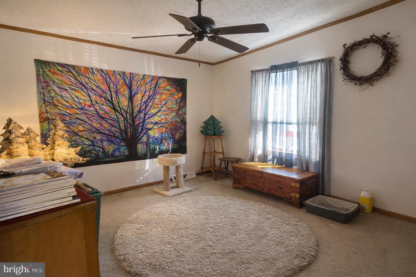 116 Erica Circle photo 14