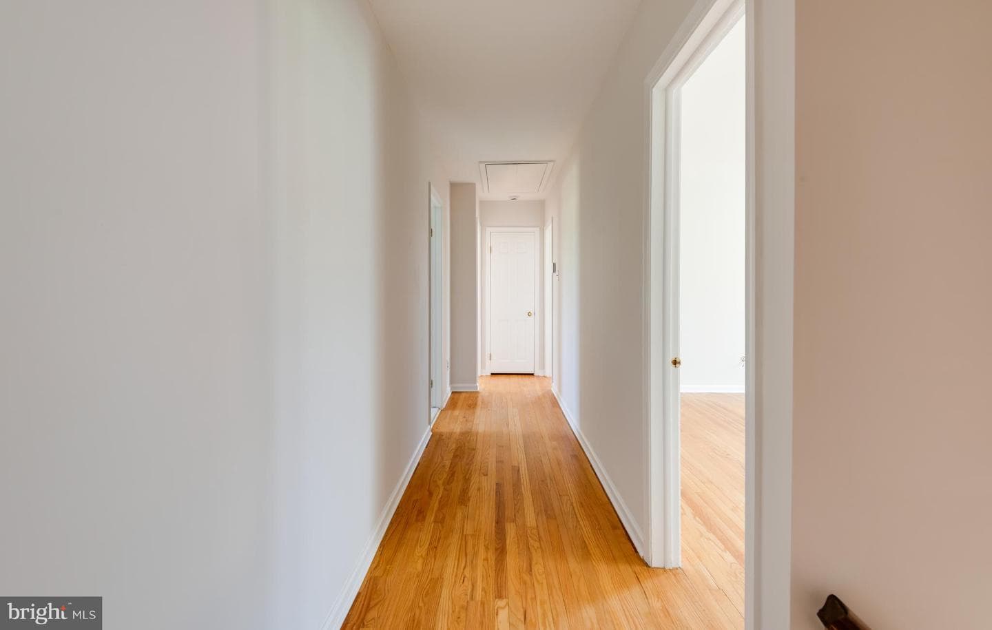 1 Anthony Drive photo 20