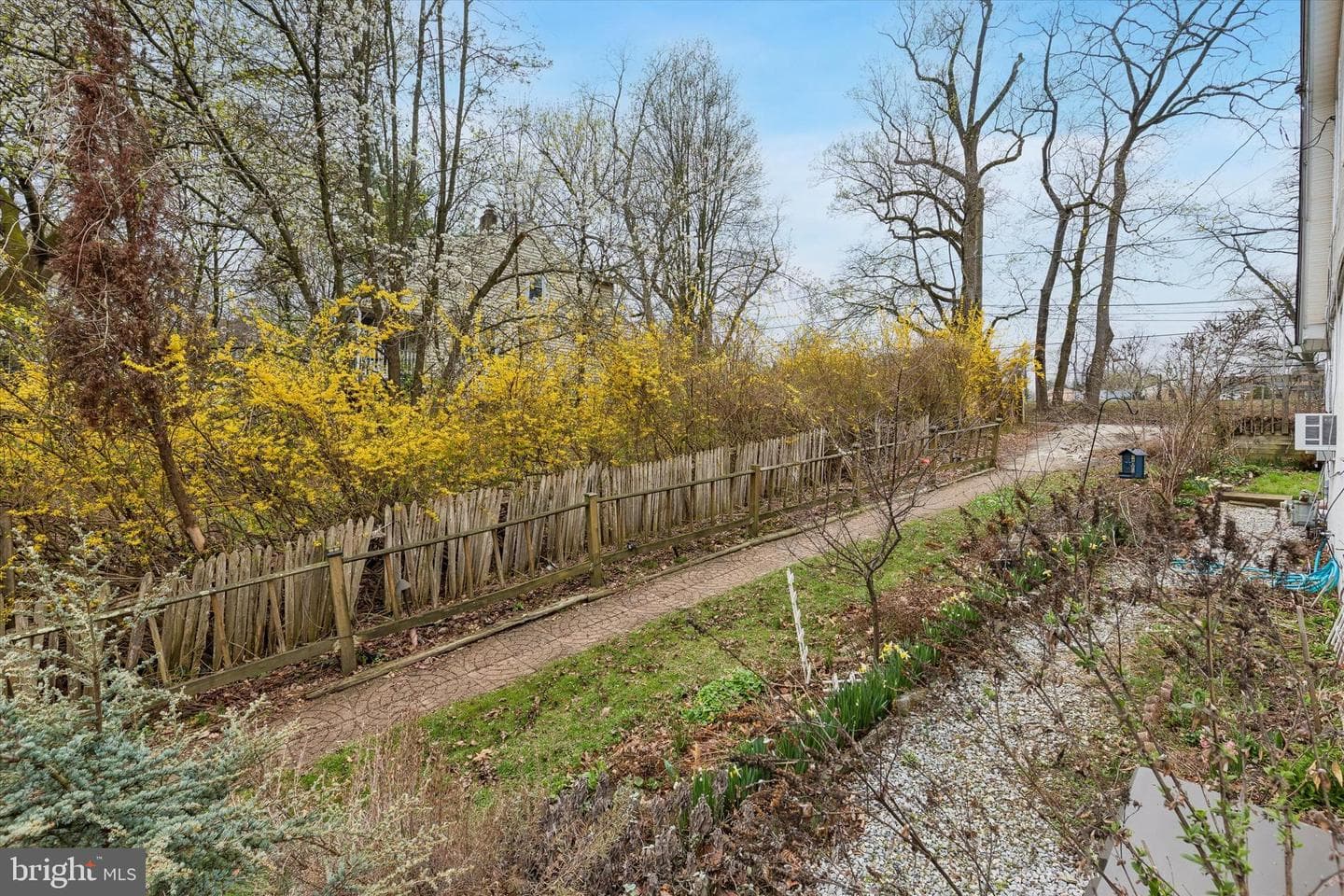 25 Woodbine Avenue photo 11