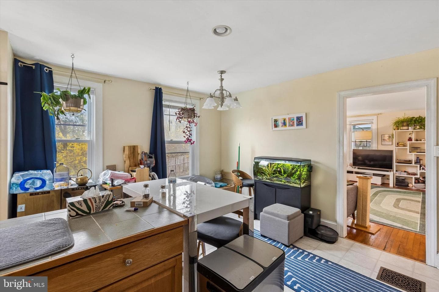 25 Woodbine Avenue photo 8