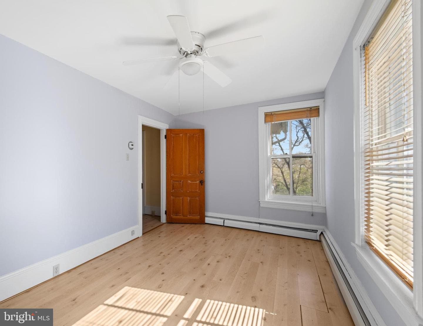 254 Chestnut Street photo 20