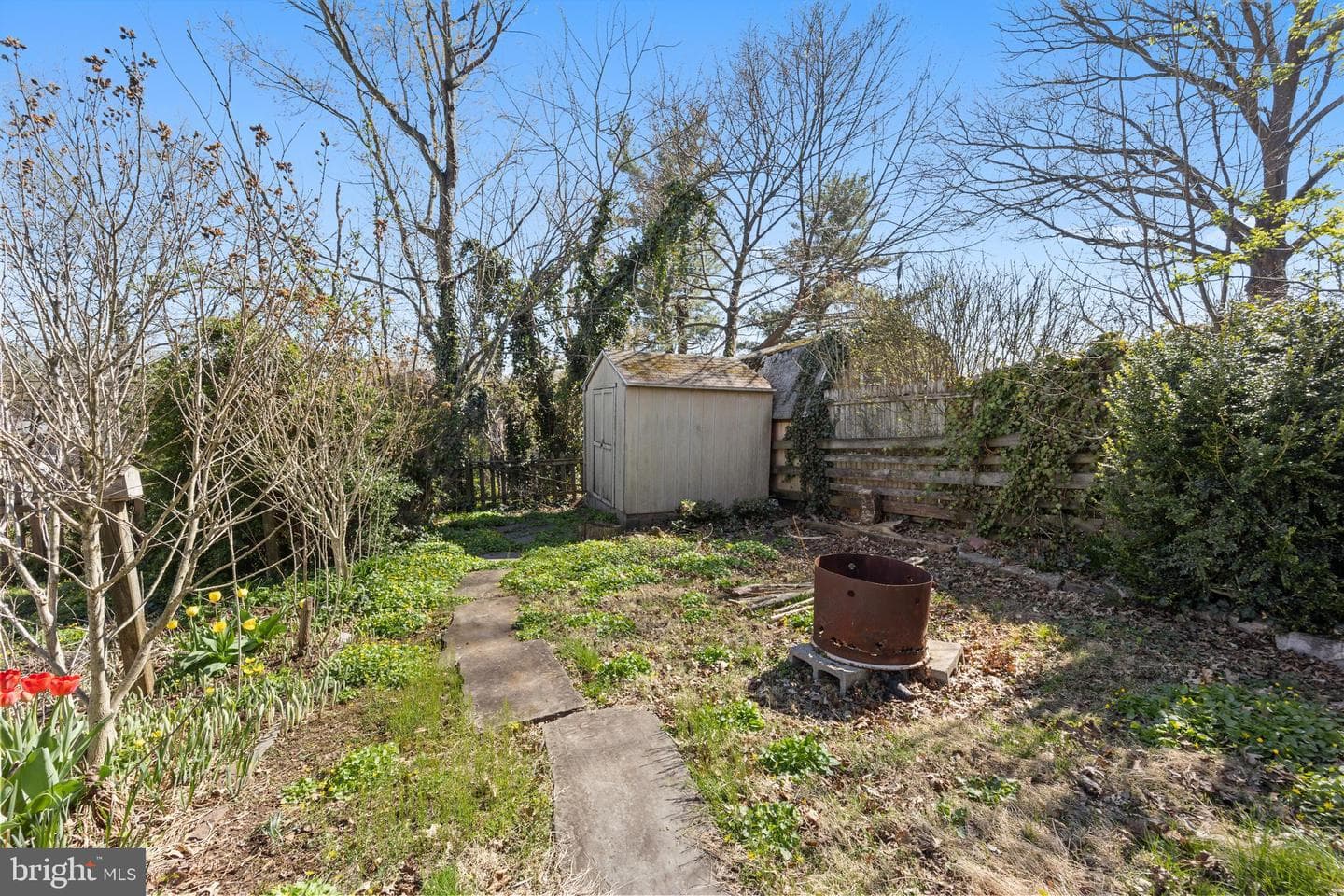 254 Chestnut Street photo 37