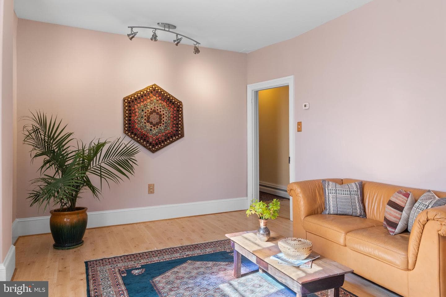 254 Chestnut Street photo 8