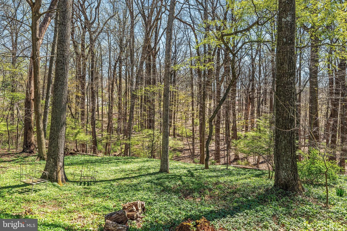 6 Cypress Lane photo 25
