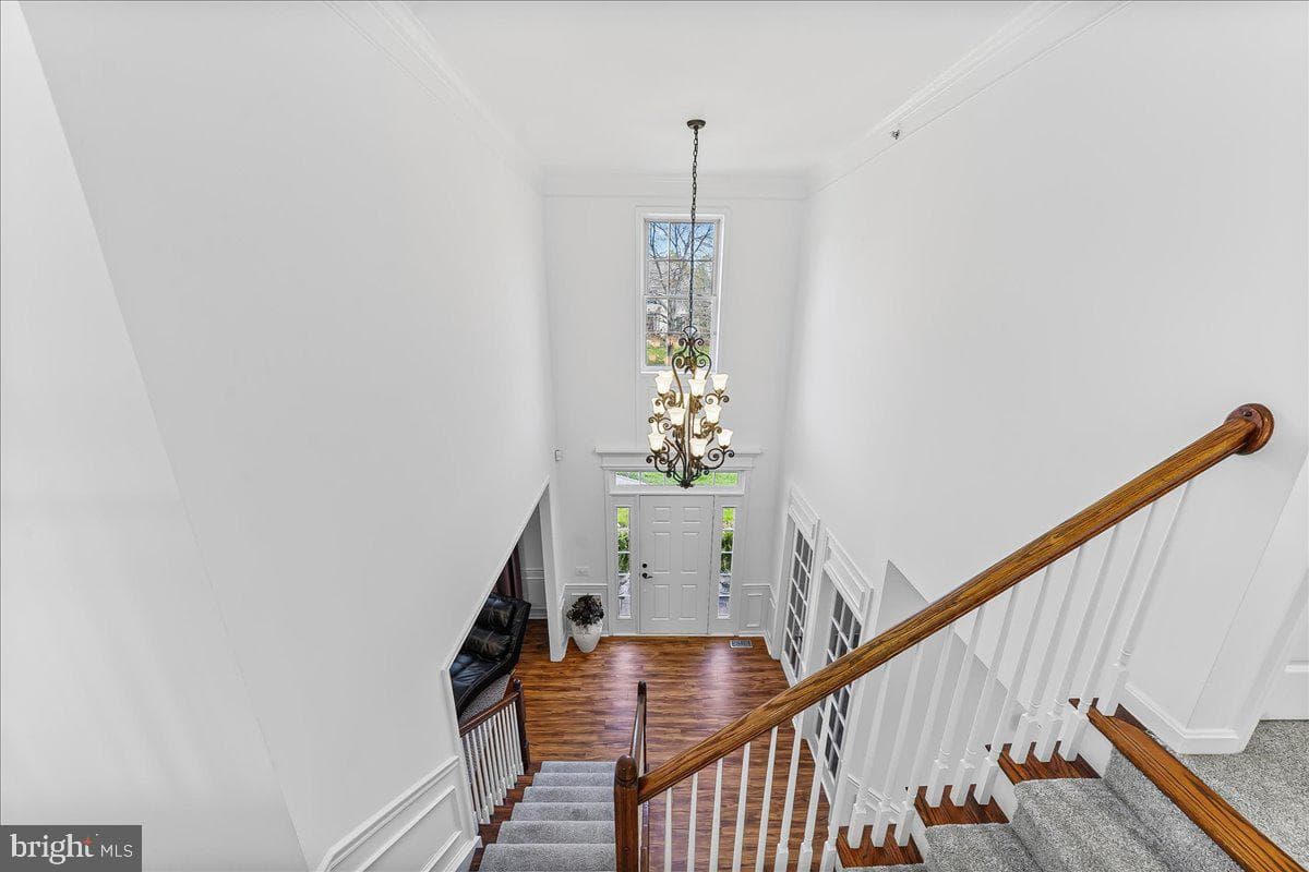 26 Saddlebrook Lane photo 9