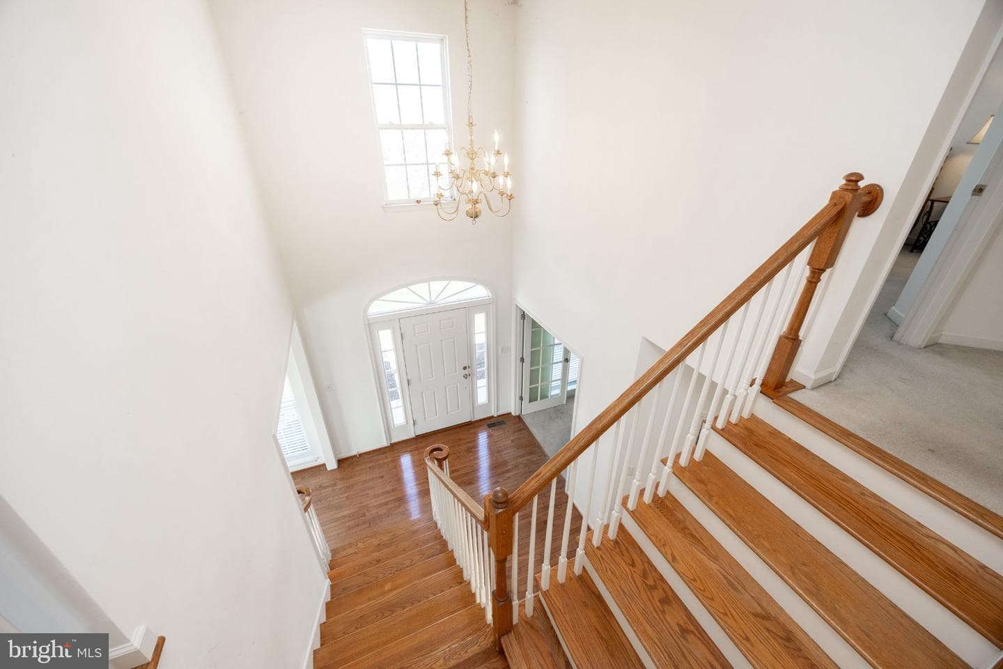 306 Winchester Lane photo 30