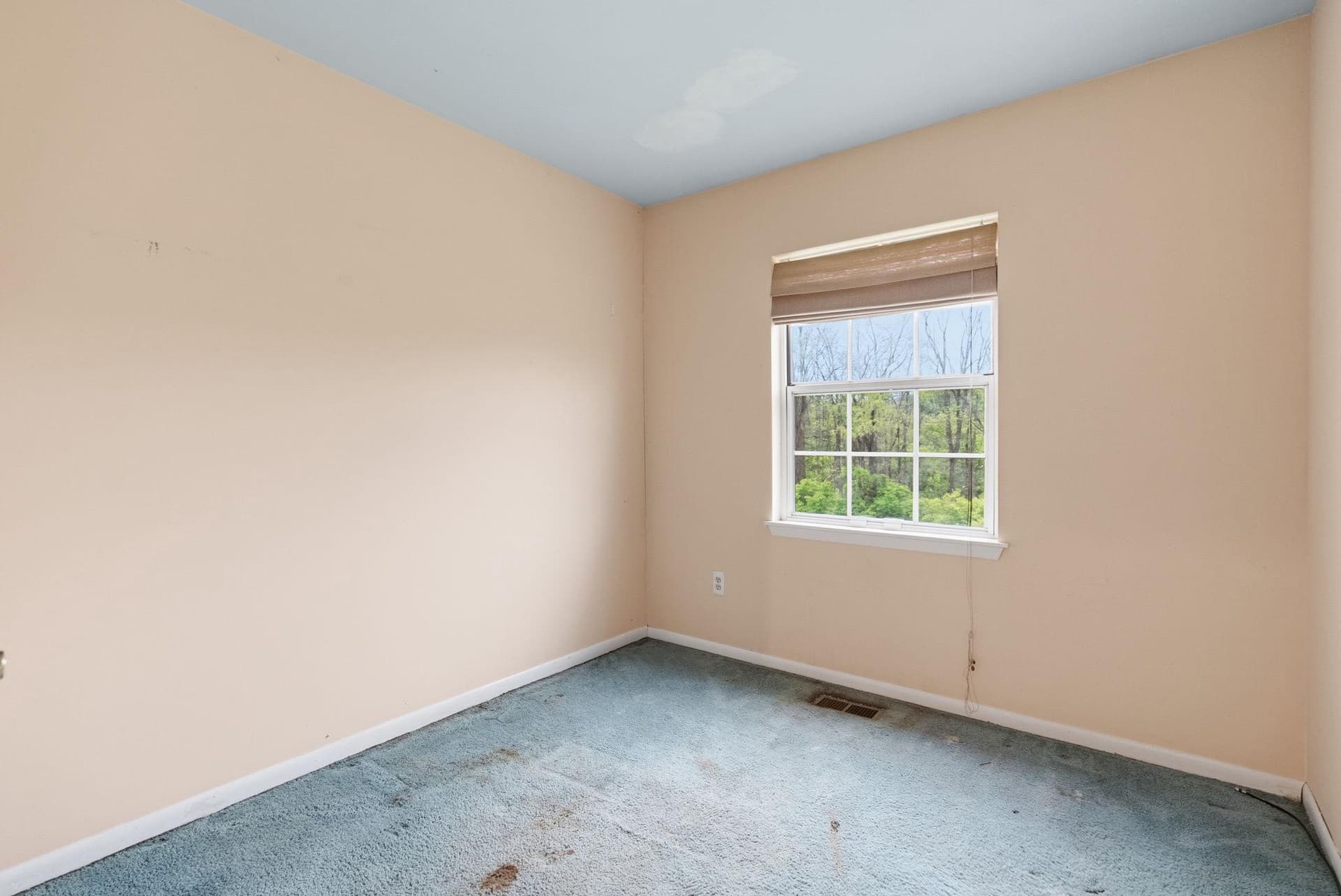 262 Carlyn Court photo 23