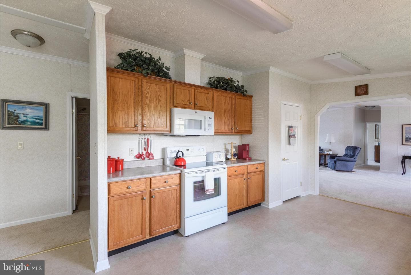 146 Glen Roy Road photo 8
