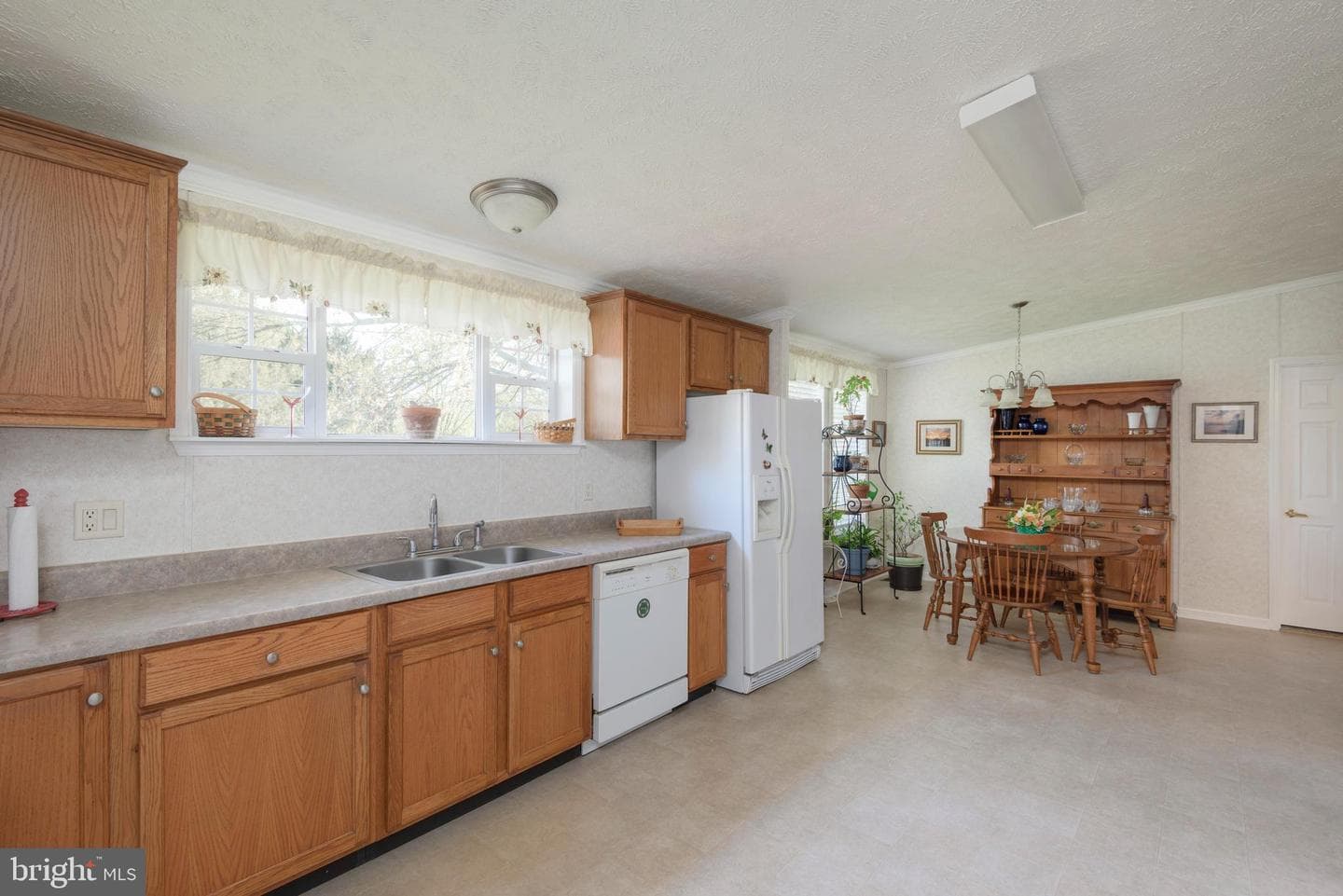 146 Glen Roy Road photo 9
