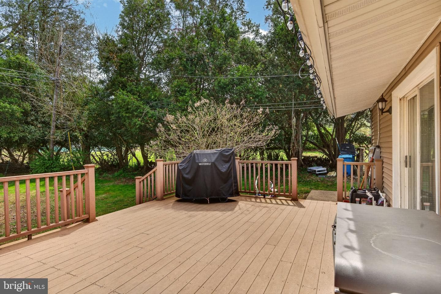 1119 Carolina photo 33