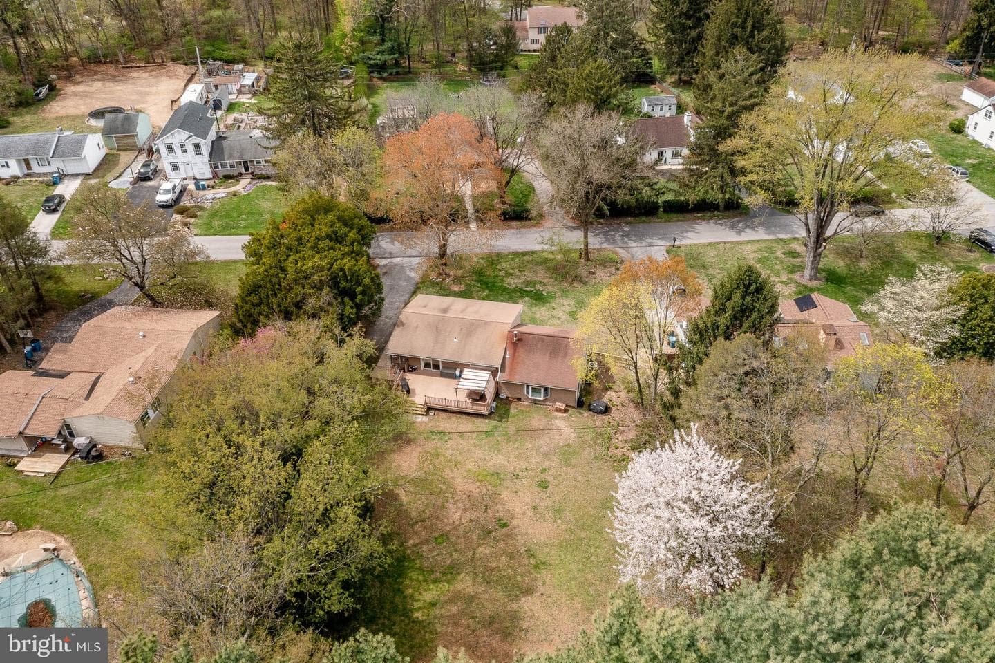 1119 Carolina photo 46