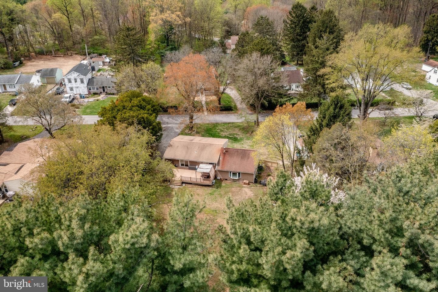 1119 Carolina photo 47