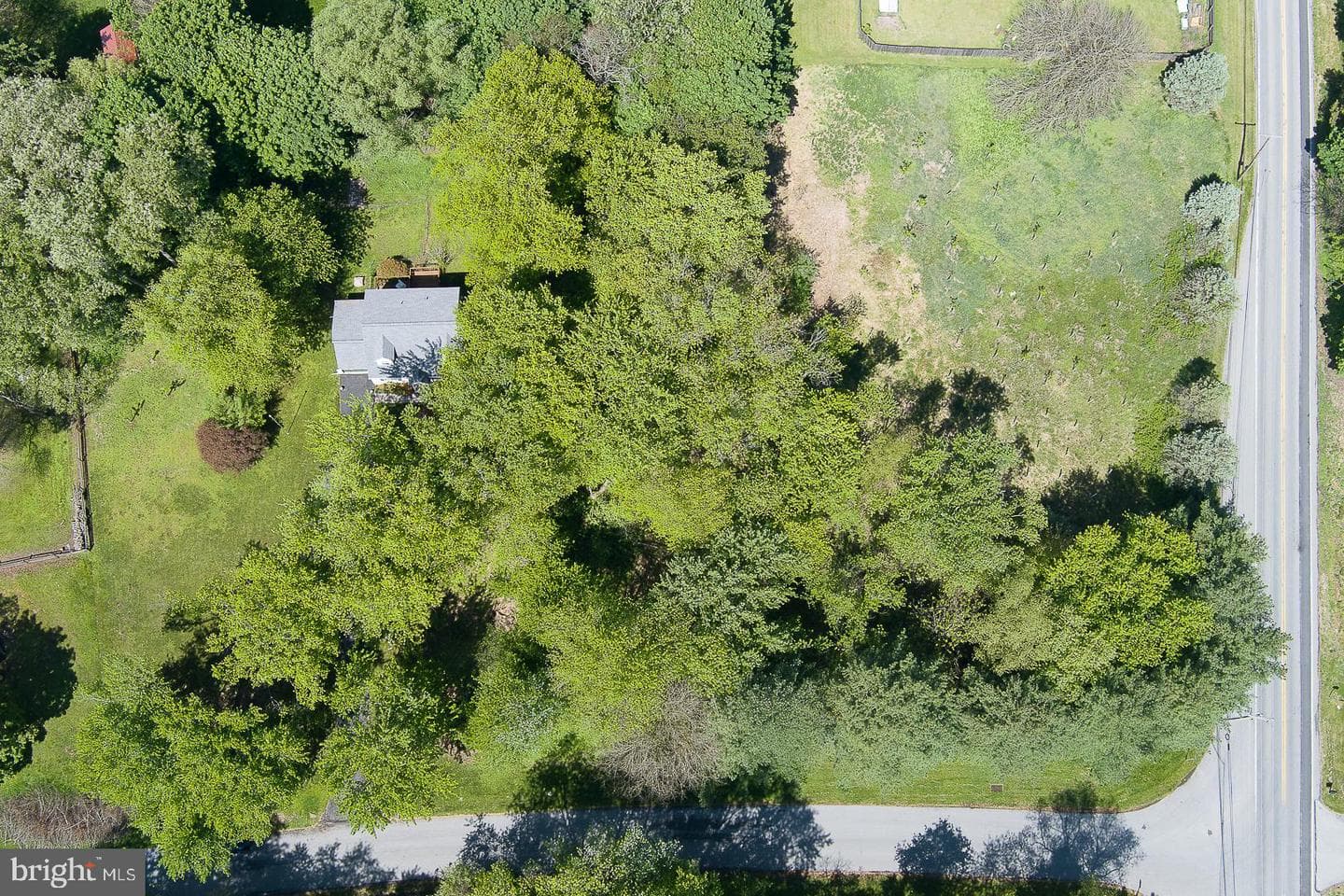 101 Clearfield Lane photo 29