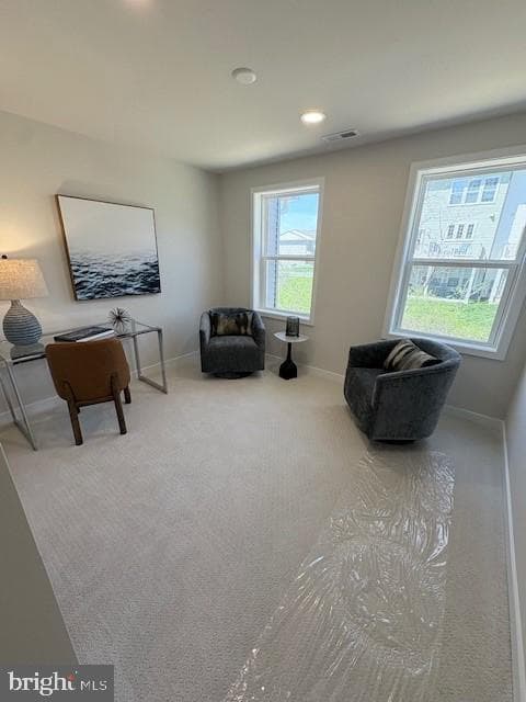 44 Grayson Lane photo 13