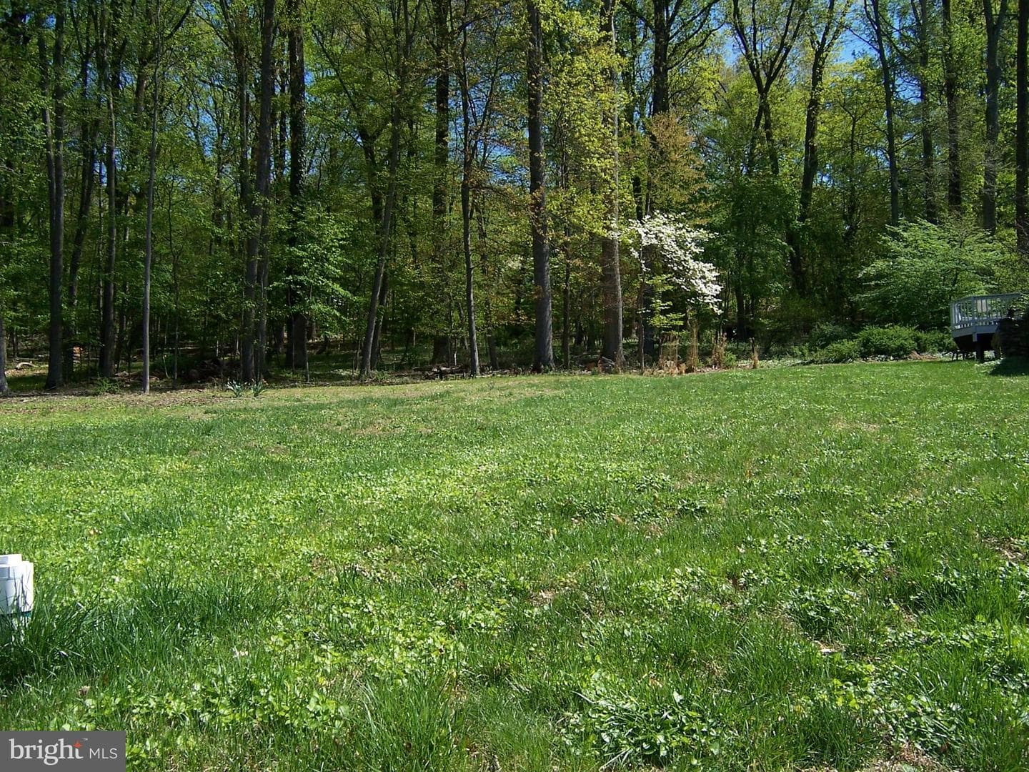 29 Cypress Lane photo 5