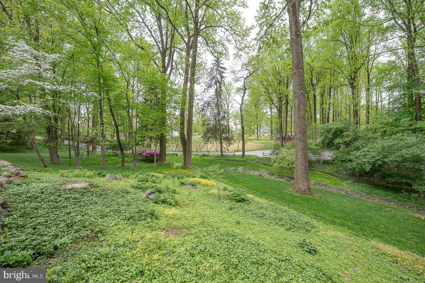6 Quarterwood Road photo 50