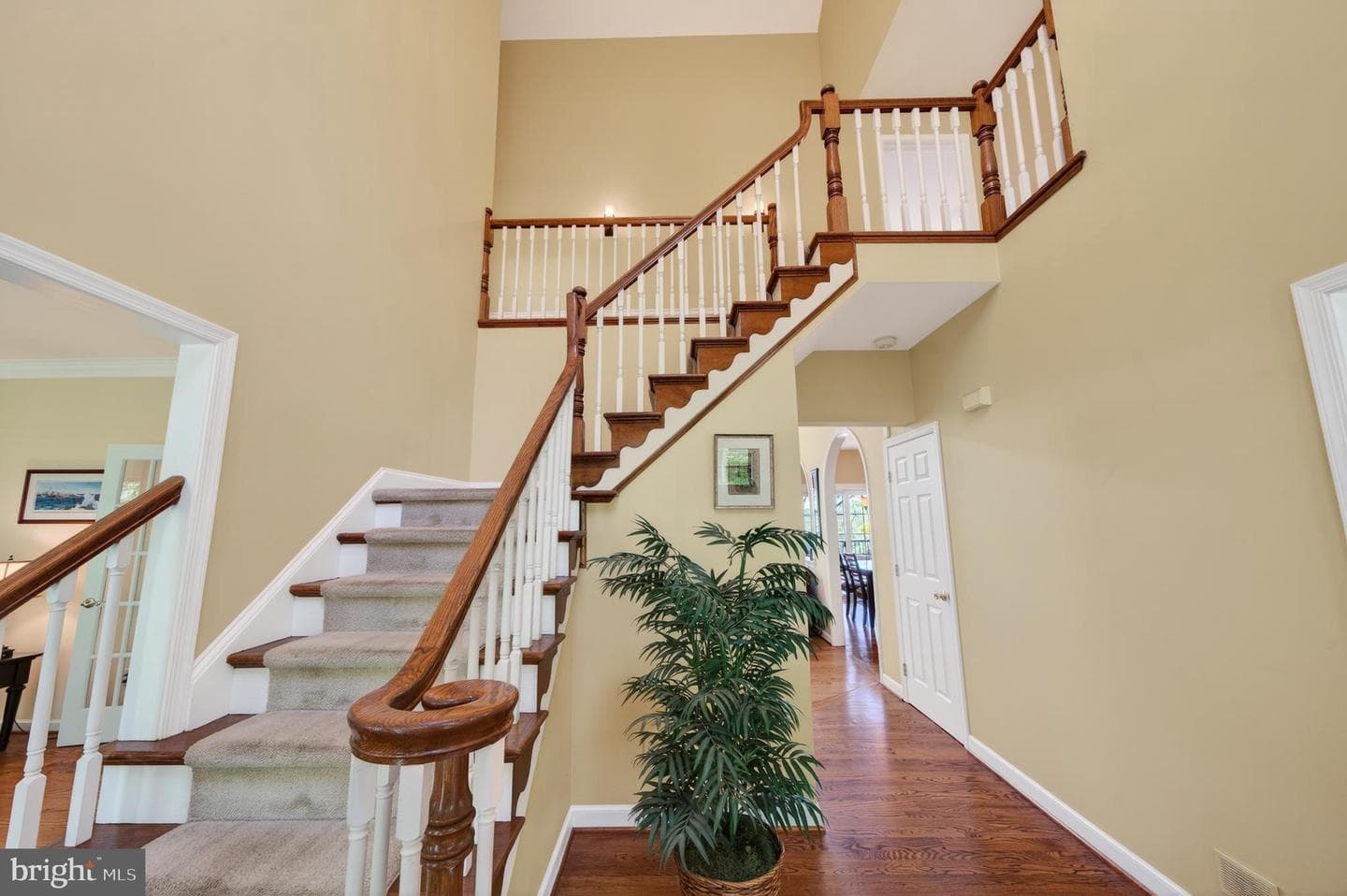 1207 Tullamore Circle photo 4