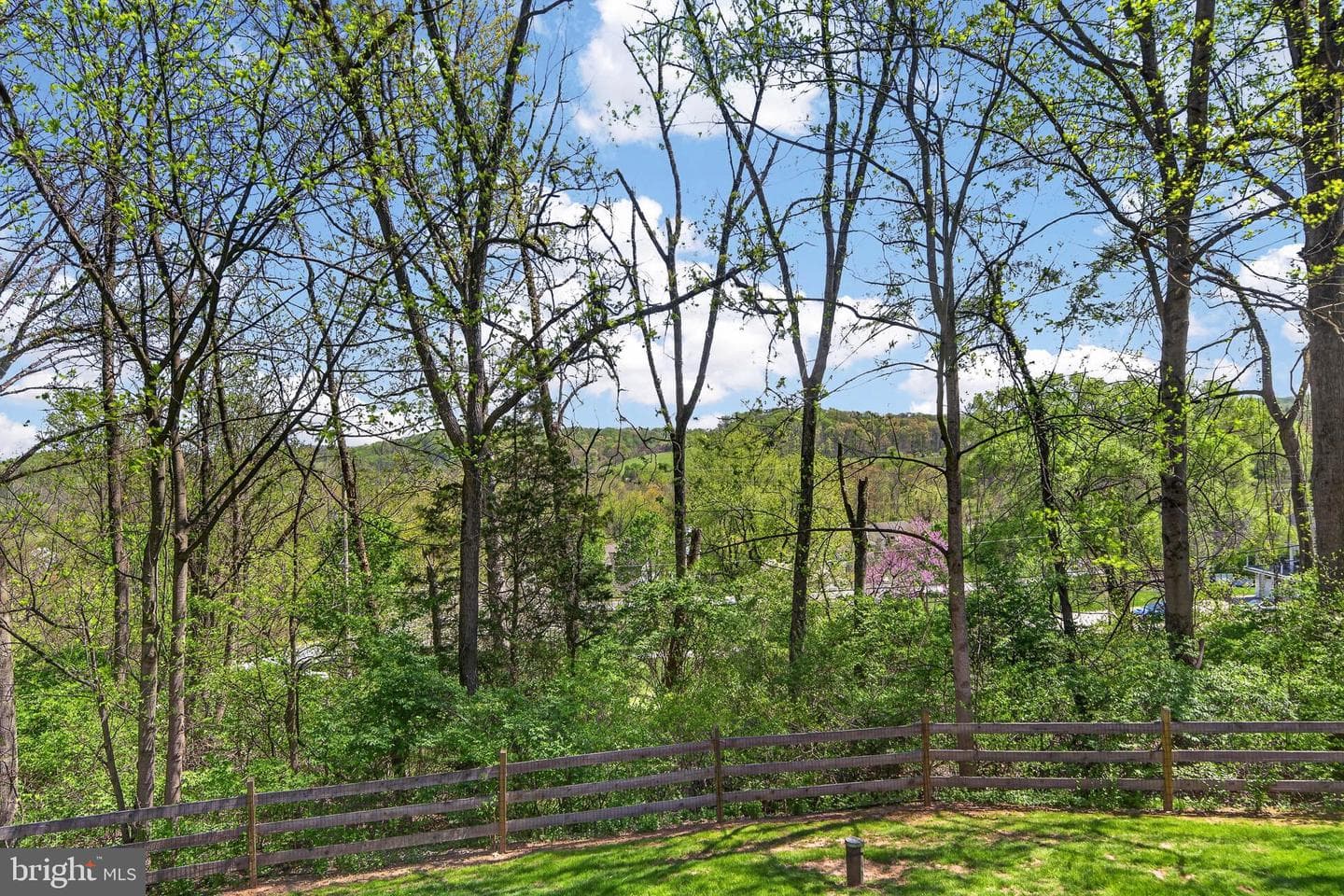 1207 Tullamore Circle photo 57
