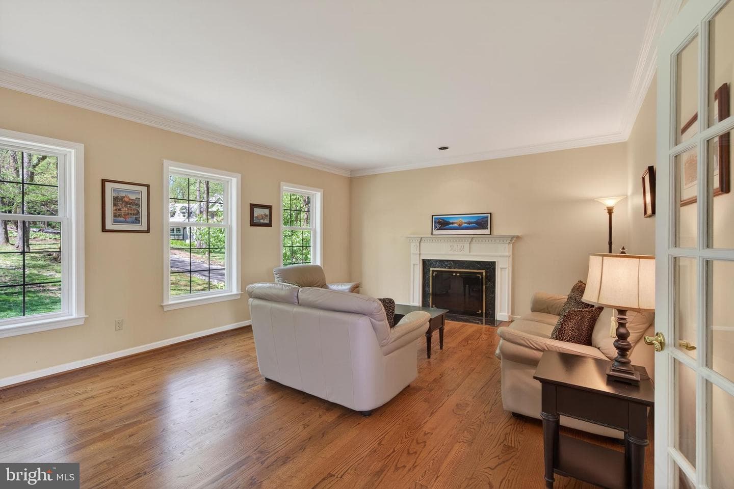 1207 Tullamore Circle photo 9