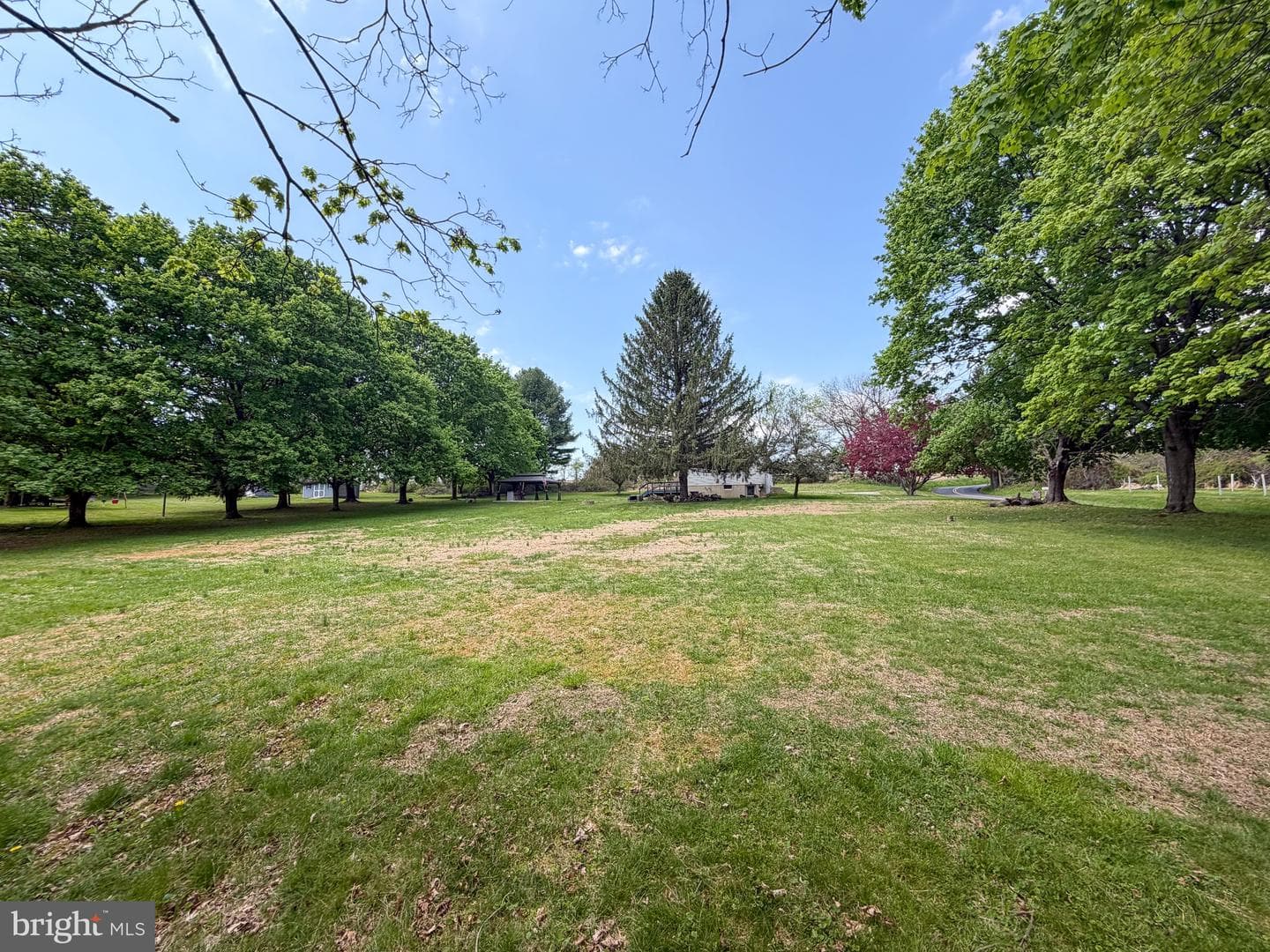 385 Mount Carmel Road photo 9