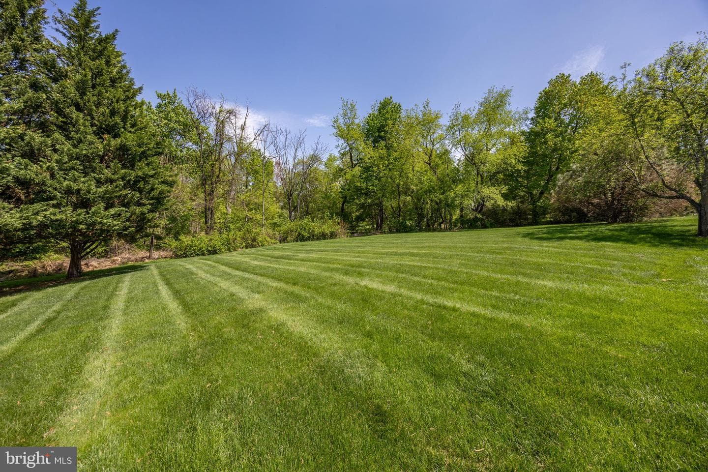 1345 Wooded Knolls photo 50