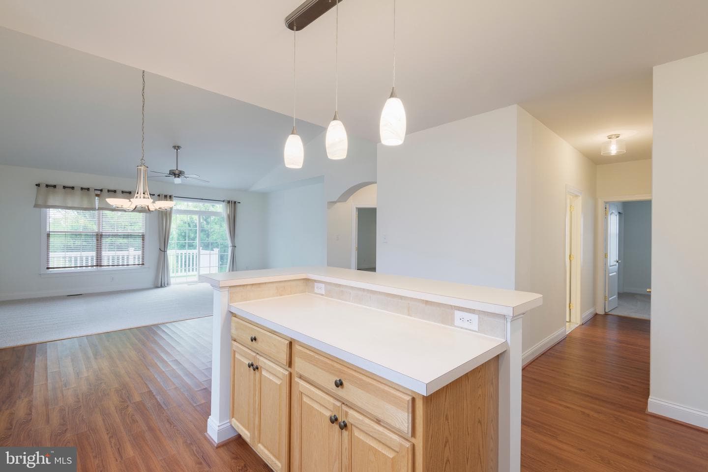 203 Hendrickson Lane photo 12