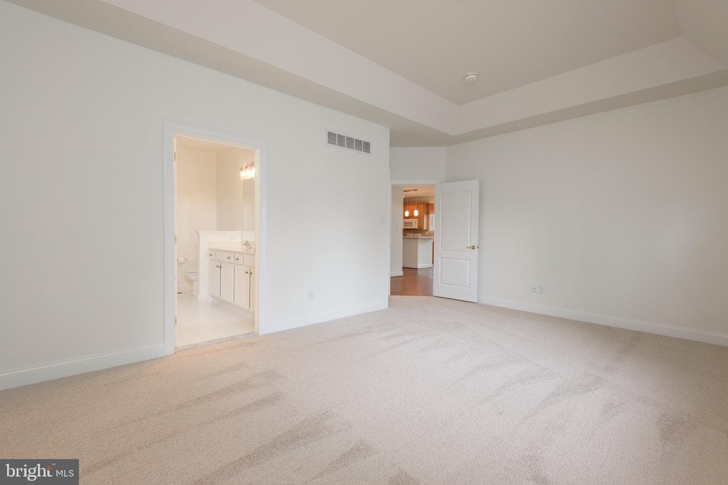 203 Hendrickson Lane photo 17