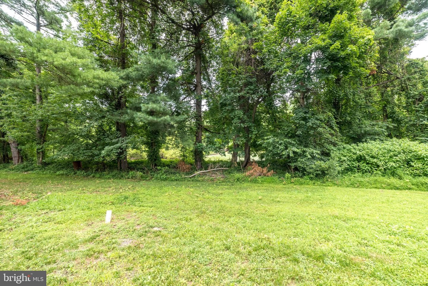 219 Stoney Run Road photo 31