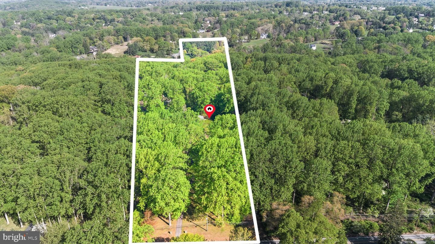 501 Webb Road photo 3
