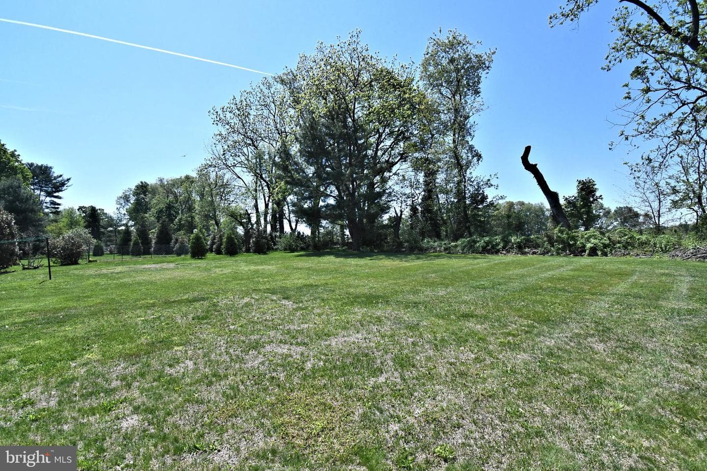 64 Mitchell Drive photo 44