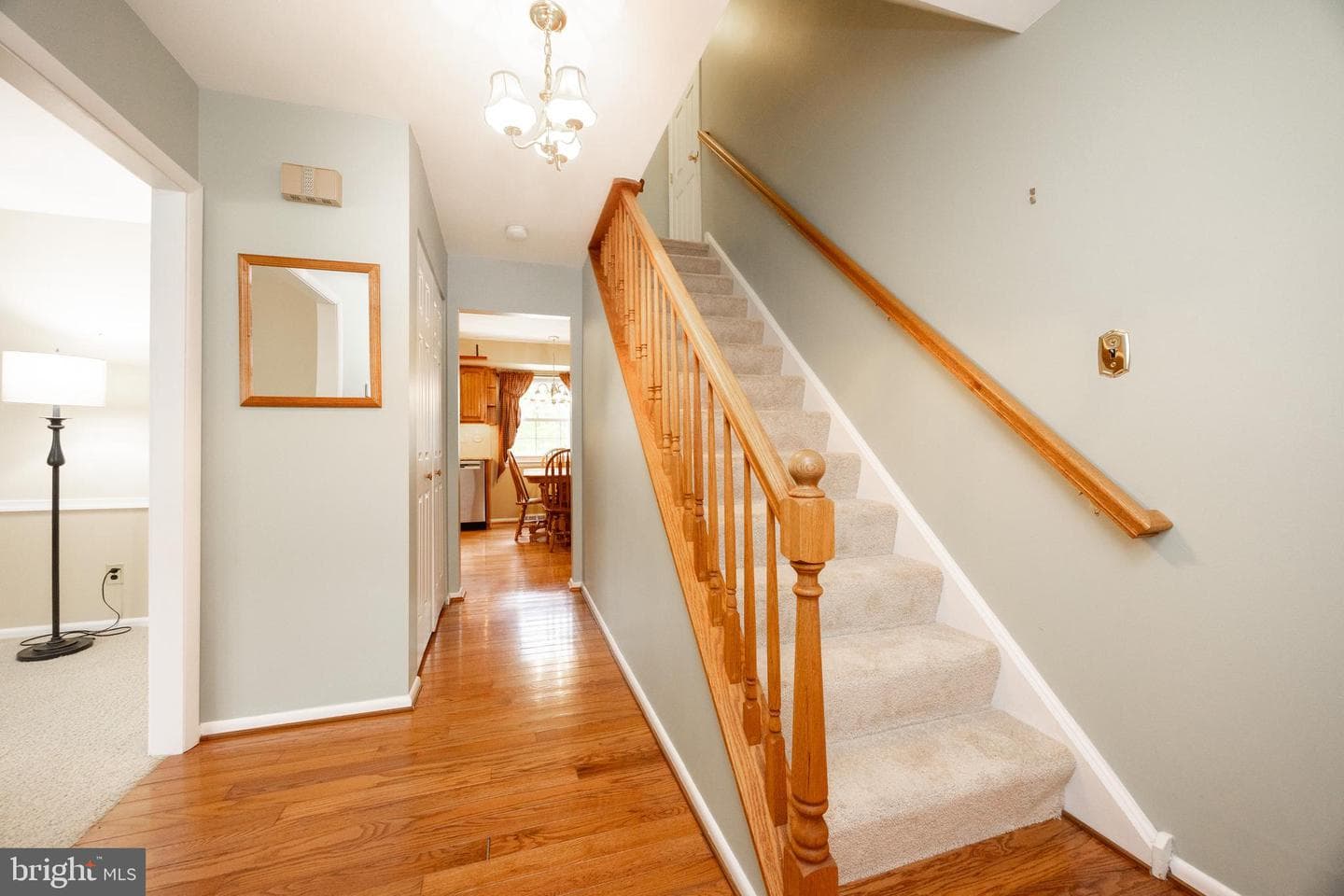 101 Biddle Drive photo 10