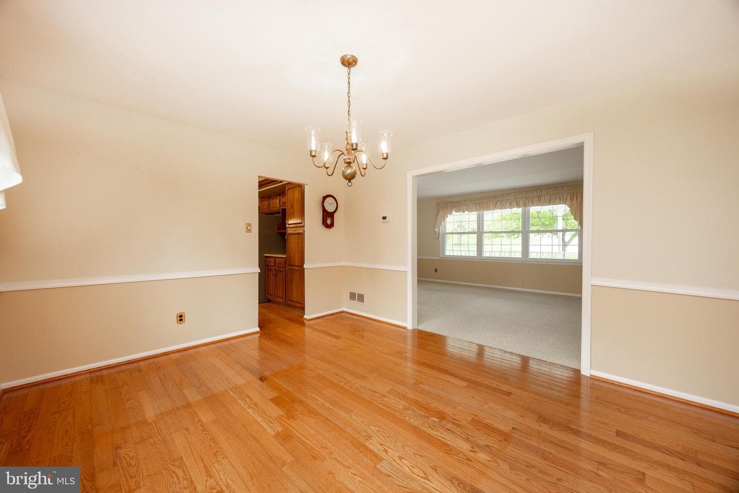 101 Biddle Drive photo 14