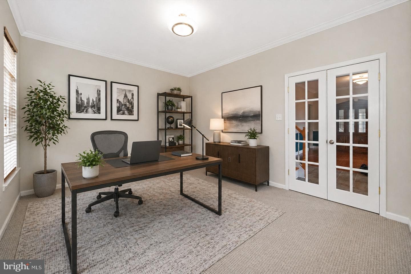 17 Allsmeer Drive photo 20