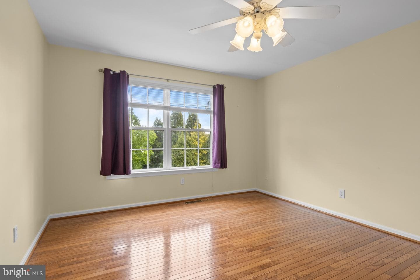 507 Kelleher Drive photo 41