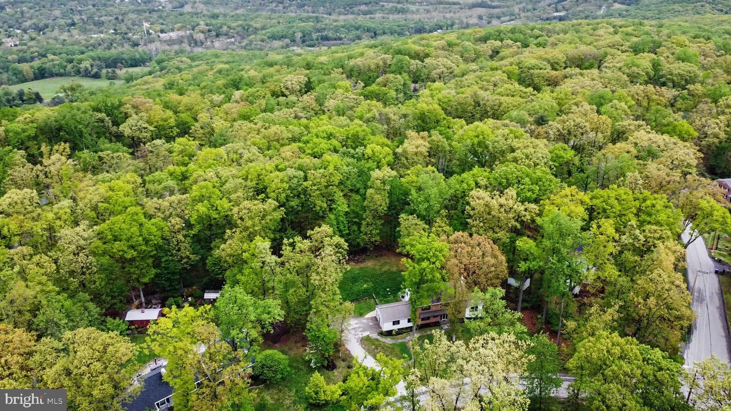 5 Forge Mountain photo 39