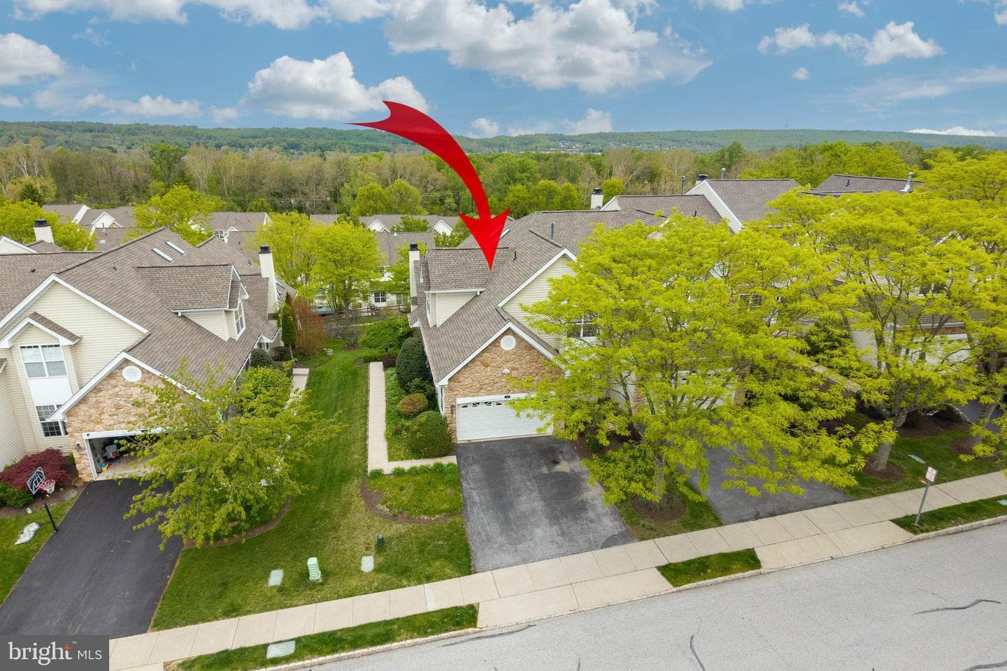 223 Silverbell Court photo 46