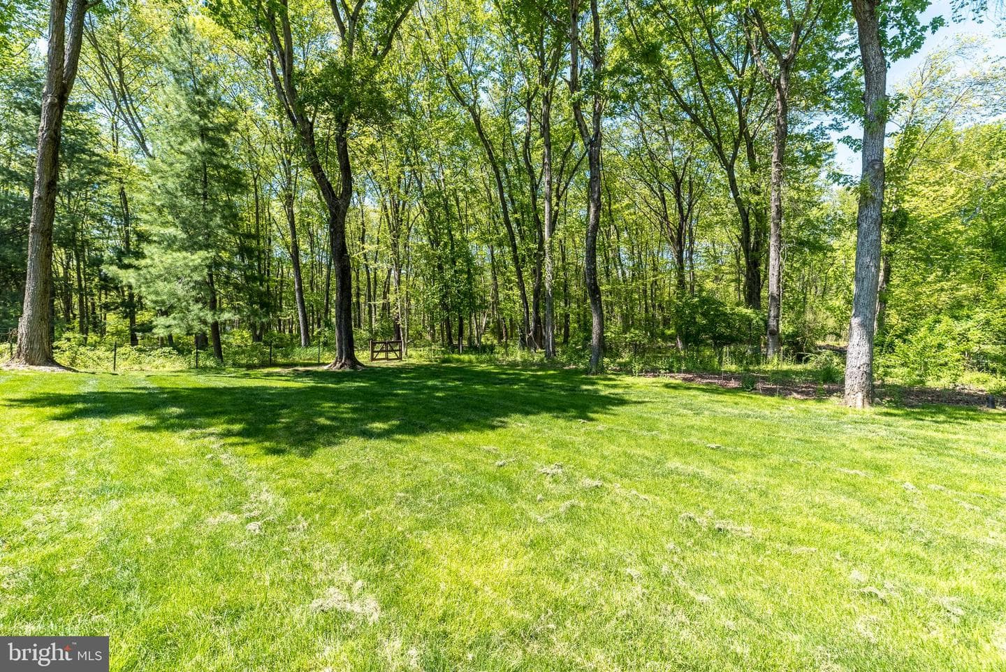 1 Joanna Drive photo 47