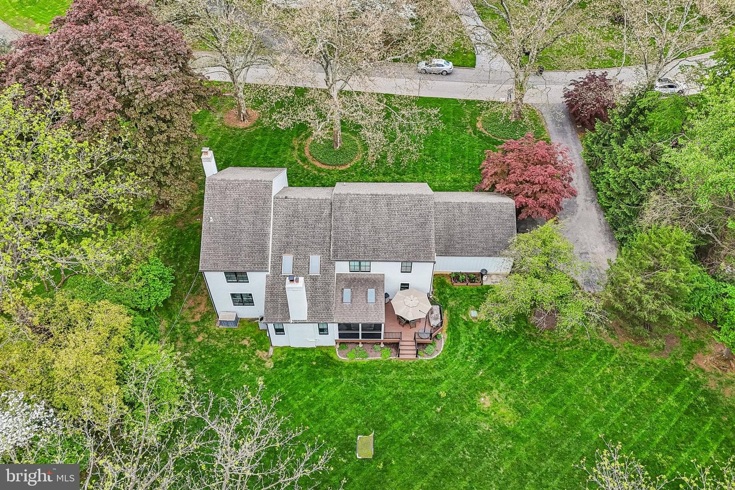 667 Colonel Dewees Road photo 60