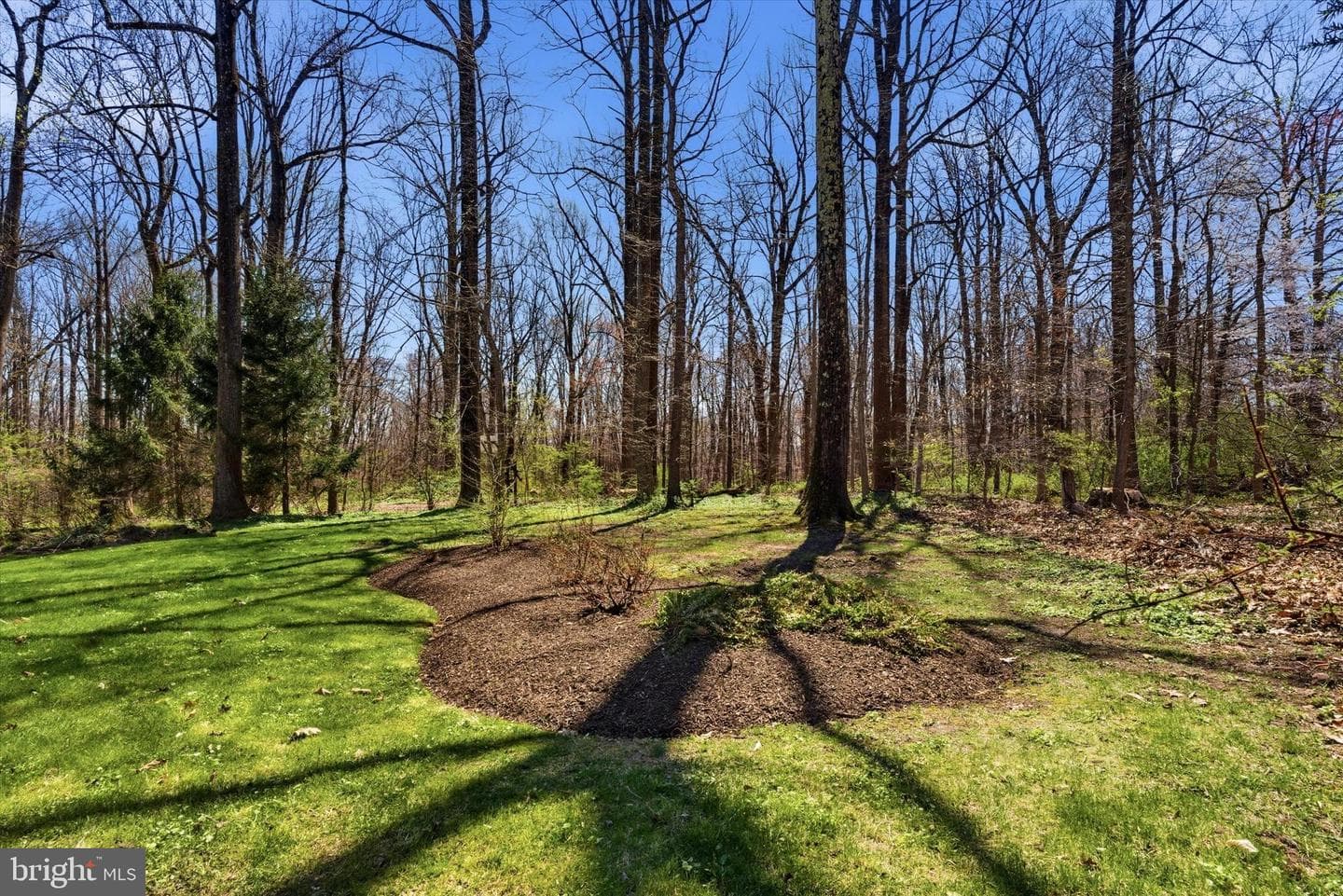 1052 W Valley Hill Road photo 3