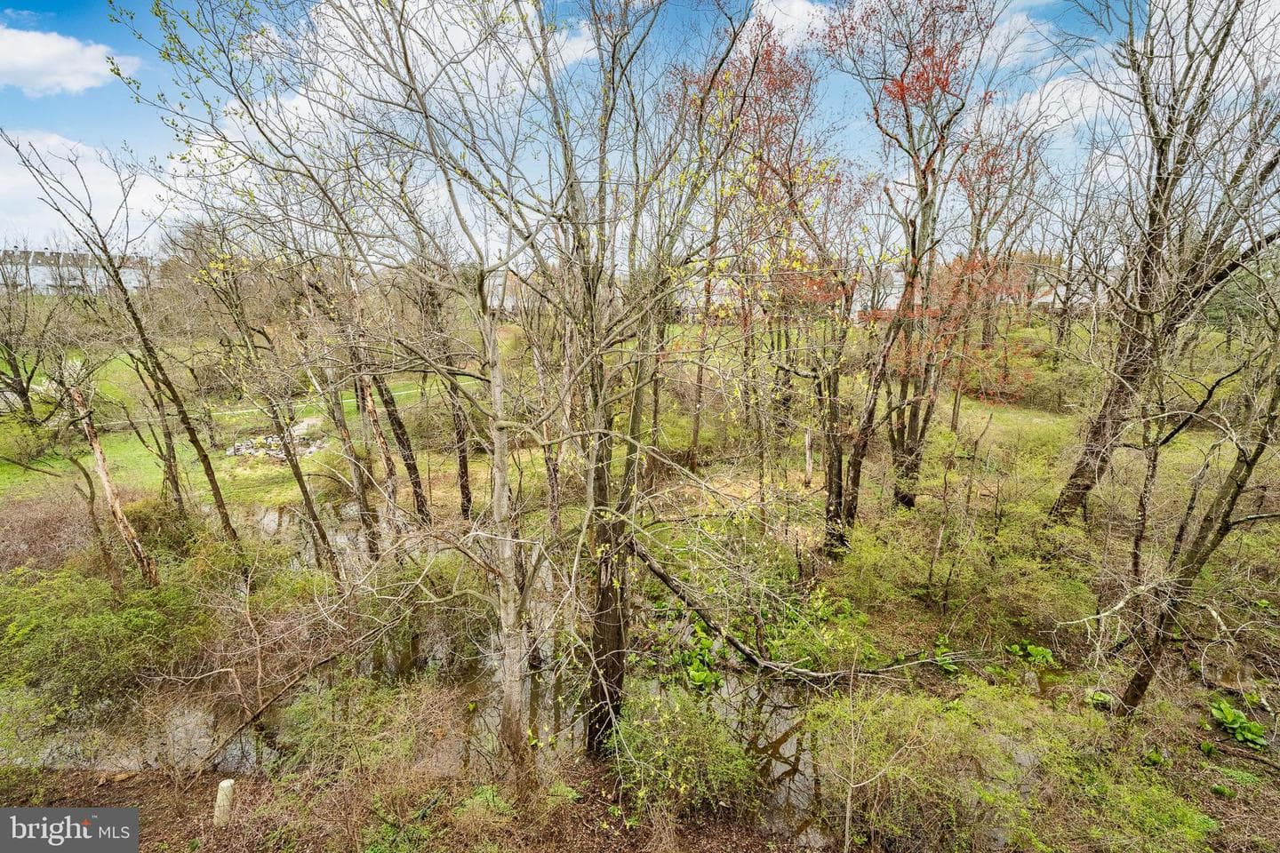 239 Smallwood Court #239 photo 19