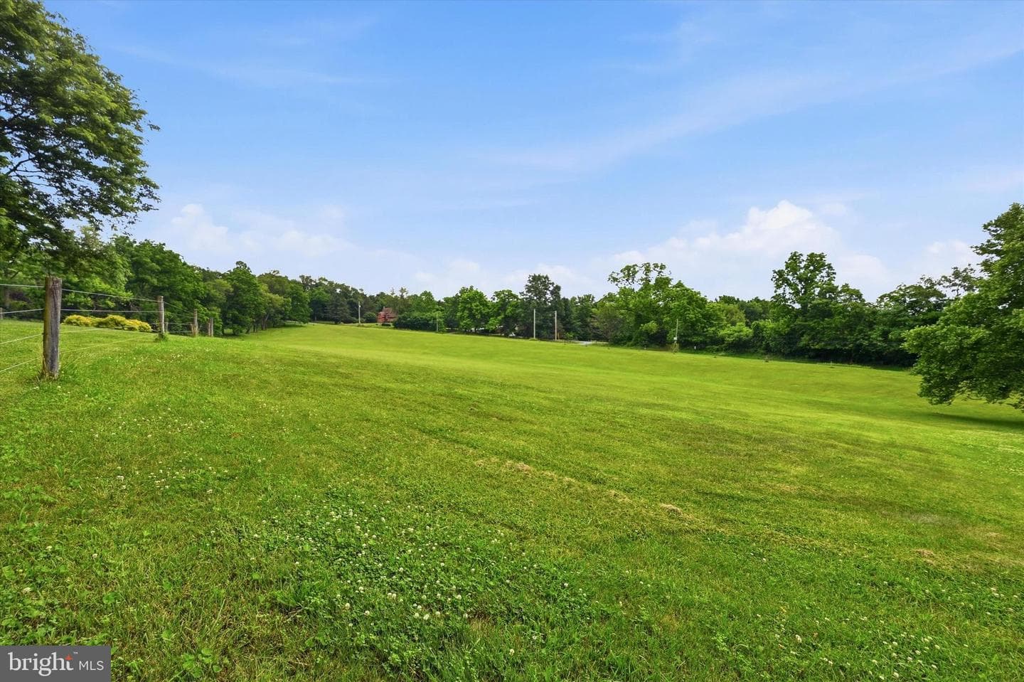 241 Glenrose Road photo 15