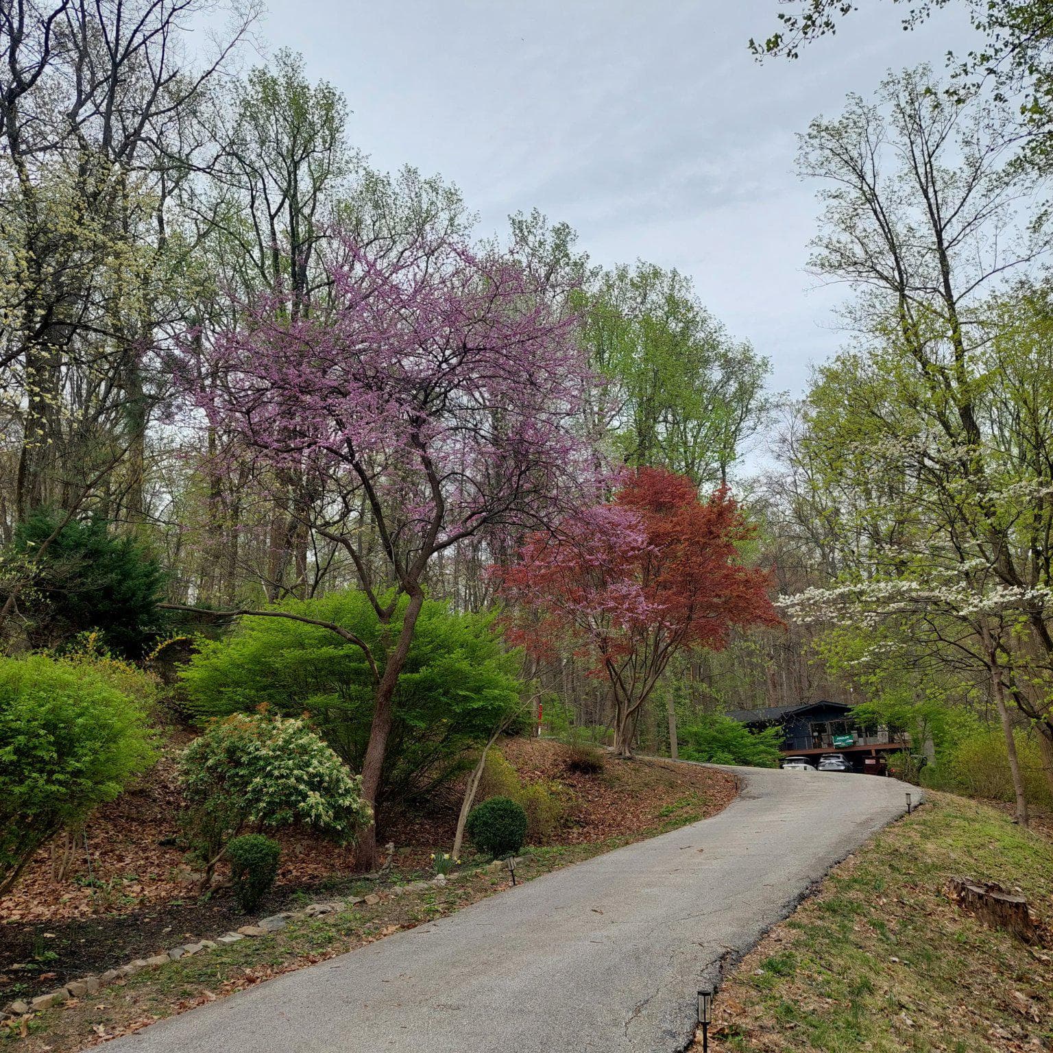 433 Paul Lemen Drive photo 38