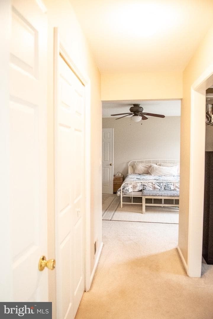 208 Belgian Drive photo 30