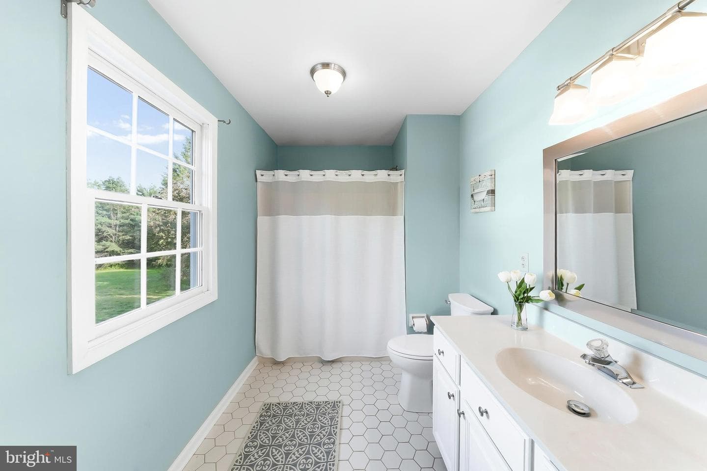 286 Hickory Drive photo 38