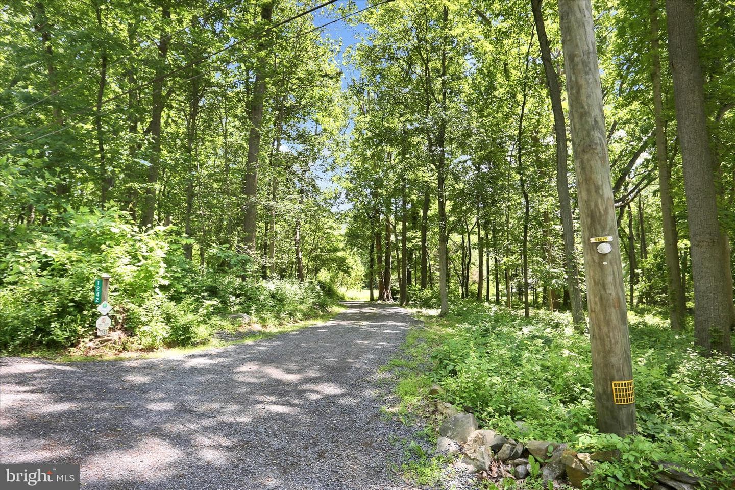 1242 Jaine Lane photo 61