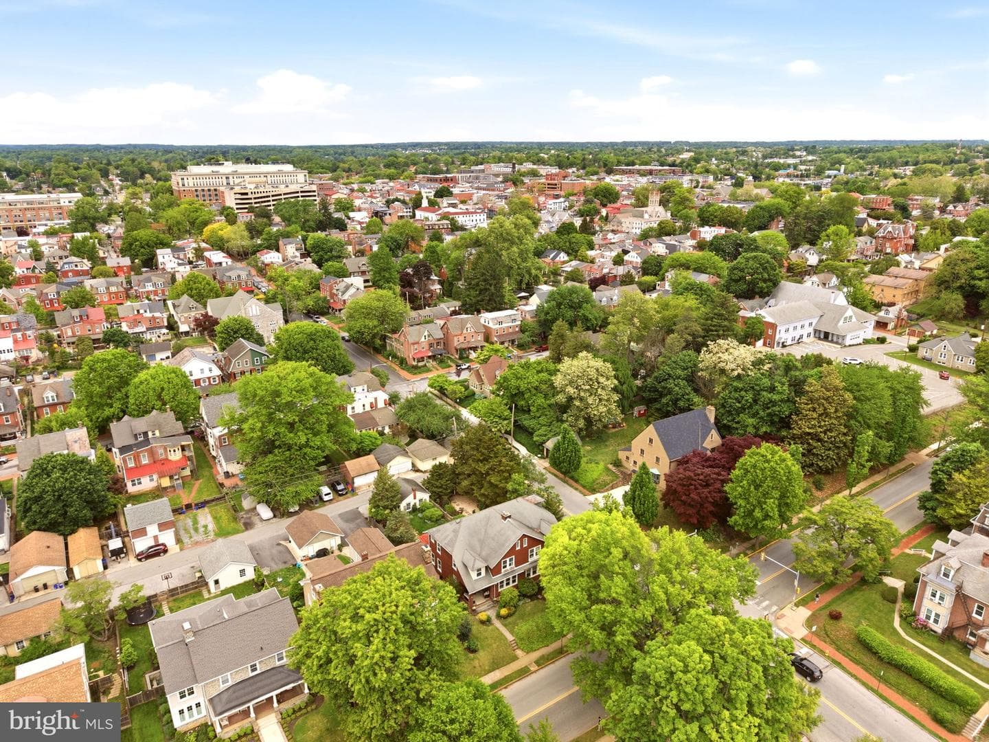 303 Price Street photo 60