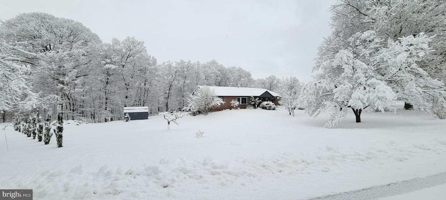 128 Mark Drive photo 19