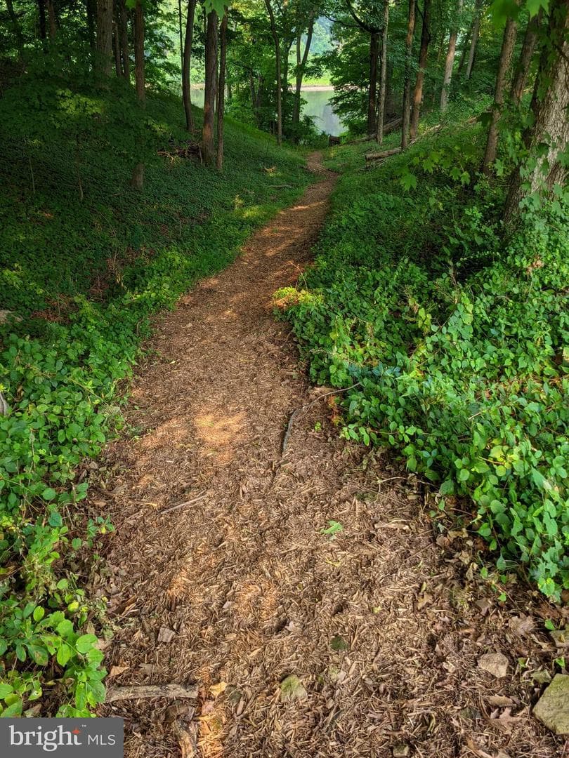 128 Mark Drive photo 36