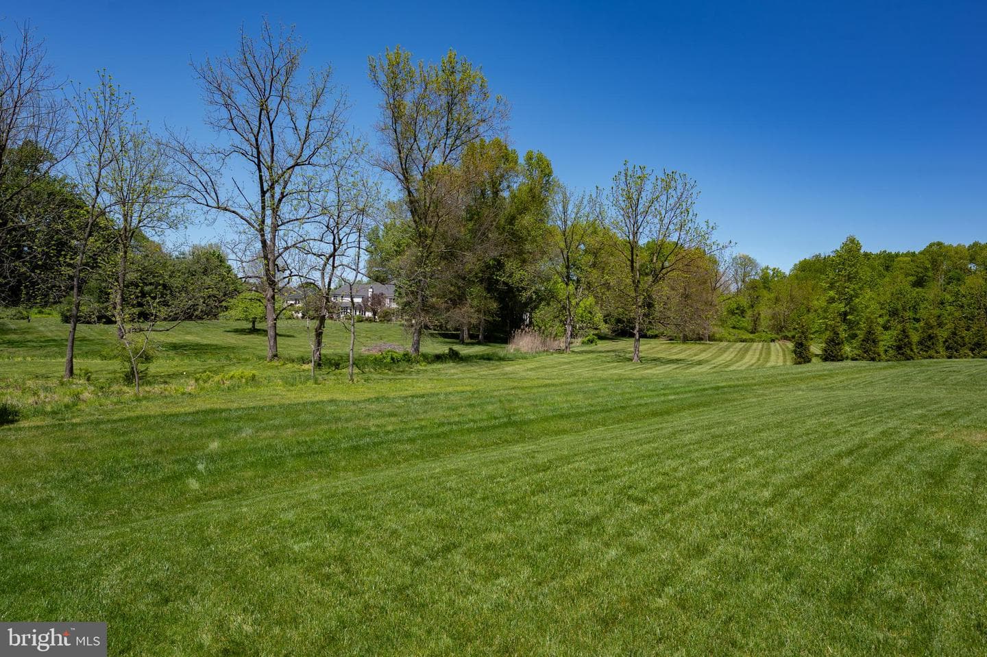 236 Lily Lane photo 29